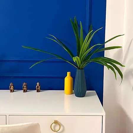 Belle Epoque Nel Cuore Di *