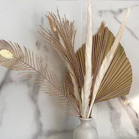 Belle Epoque Nel Cuore Di Apartment Turin