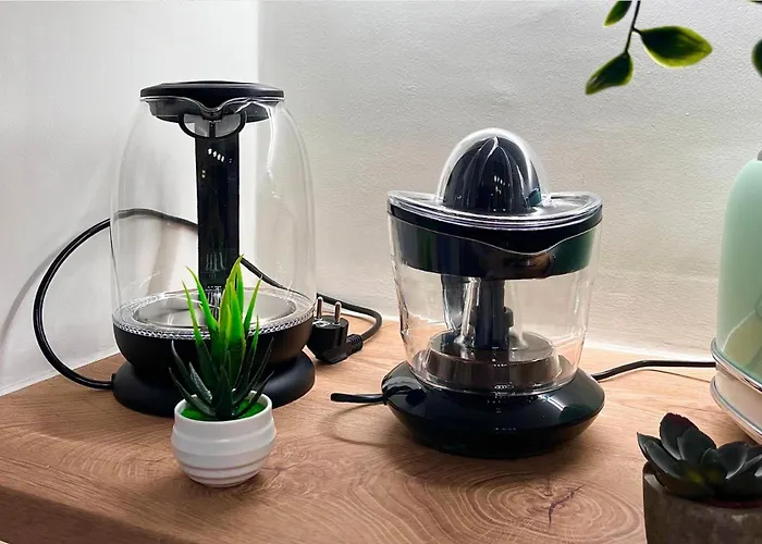 Belle Epoque Nel Cuore Di Apartment Turin