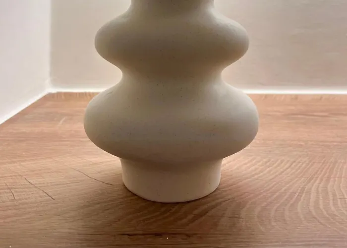 Apartment Belle Epoque Nel Cuore Di Turin